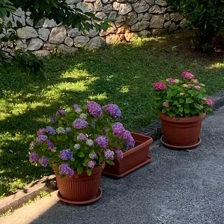 Apartment Kuca 120m2,garaza 10 Parking Mjesta